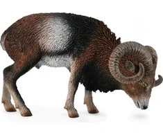 Collecta Figūrėlė - Europinis muflonas