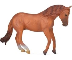 Collecta Figūrėlė - Australiškas žirgas