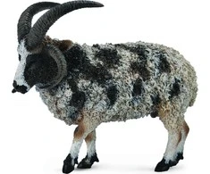 Collecta Figūrėlė -  Jokūbo avis