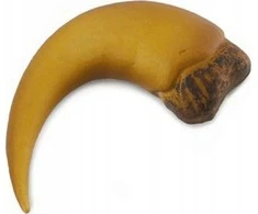 Collecta Surinktas BARYONYX PAZUR DĖŽĖJE - Surinktas - 89282
