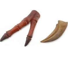Collecta PZUR IR TYRANOSAURA kolekcija A - 89289