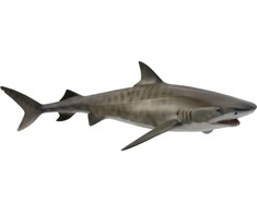 Collecta Figūrėlė Tigrinis ryklys (L)