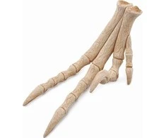 Collecta VYRIAUSYBĖS GALUTINIAI ATSAKYMAI - A rinkinys - 89285