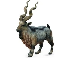 Collecta Figūrėlė - Tadžikijos markhoras