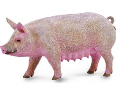 Nuotrauka Nr.2