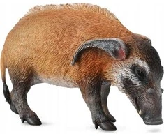Collecta Figūrėlė - Krūmyninė kiaulė