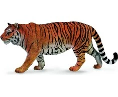 Collecta Figūrėlė - Tigras