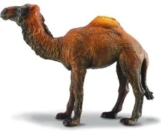 Collecta Figūrėlė - Vienkupris kupranugaris
