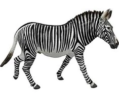Collecta Figūrėlė Grevy's veislės zebras (XL)