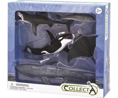 Collecta Jūrų gyvūnų rinkinys 5 el.