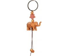 Dromader Dromedary Pakabutis dramblio kaina 12vnt 01316 13168