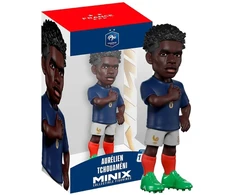MINIX FRANCE - AURELIEN TCHOUAMENI
