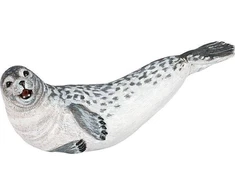 Papo figūrėlė Ruonis