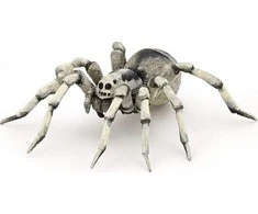 Papo figūrėlė Tarantulas