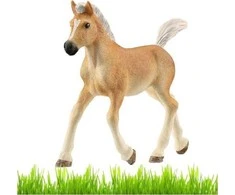 Schleich figūrėlė Haflinger veislės kumeliukas