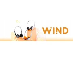 FiiO Snowsky Wind ausinės, juodos