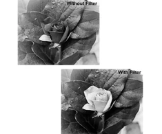 B+W filtras raudonas B+W Basic 090 Raudona Light 590 MRC 1102685 72mm