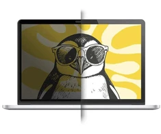 Filtras SBS Mobile Doodroo – privatumo plėvelė Windows nešiojamajam kompiuteriui 13'' 16:9 (DDWIND13PRV)
