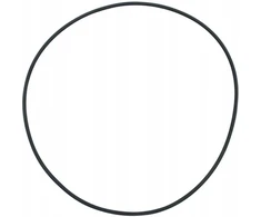 Fluval Tarpinė O-ring, skirtas filtrui FX2 - A20213