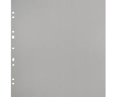 Focus Carton Refillsheets for Ringbinder Gigant Pilkas 10-pack