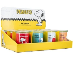 Peanuts Žemės riešutai Thekendisplay 12 x 250g