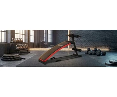 Funfit Pasvirusi suolelė pilvo presui FUNFIT