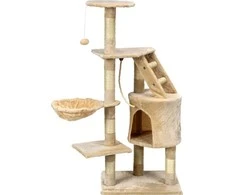 Funfit (1607)
