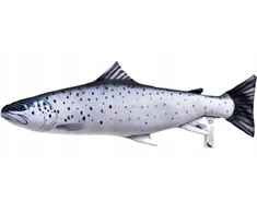 Žaislas EnergoFish Pillow Sea Trout 51cm