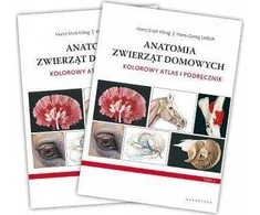 Galaktyka Galaktika naminių gyvūnėlių anatomija. Spalvingas atlasas ir žinynas. 4-asis leidimas
