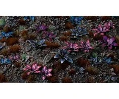Gamers Grass Gamers Grass: Lazeriniai augalai - Alien Rosette - Space Rosette