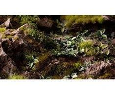 Gamers Grass Gamers Grass: Lazeriniai augalai - plantain Lily - Funkia