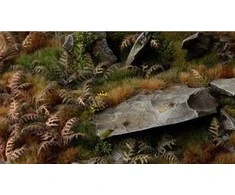 Gamers Grass Gamers Grass: lazeriniai augalai - sausi Bracken - džiovinti parkai