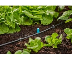 Antgalis Gardena mikrolašelinė sistema mažam plotui, 10 vnt.