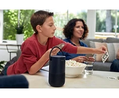 Garsiakalbis Bose Home Speaker 300 juoda (829393-2100)