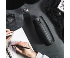 Niceboy RAZE 2 Ego Bluetooth 5.0 belaidis garsiakalbis / FM / Aux / USB / Micro SD / 12 W