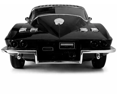 Garsiakalbis Wster WS-1969 juodas (Wster)