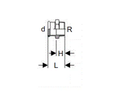 Geberit C- STAHL jungtis GZ 22mm Rp 3 / 4 "(21707)