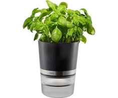 Vazonas - GEFU BOTANICO Laisvai Stovintis Plastikinis, Nerūdijančio Plieno, 0.5L Vandens Bakas, Juodas