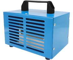 Ozono generatorius-oro valytuvas su galingu laikmačiu, 140 W, 60 g/val. - ER1144