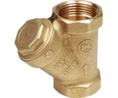 Giacomini Y-FILTER 1 1/4IN R74AY106