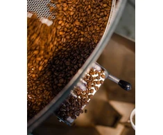 Golden Brasil Roastains Mexico Golden Dates kavos pupelės FILTER 250g