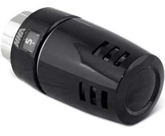 Gorgiel Apsauginė termostatinė galvutė nuo vagystės M30x1.5