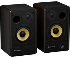 Kompiuterio kolonėlės Genesis Arsen 402BT 2.0 bronzinis