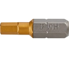 Graphite Antgaliai wkrętakowe HEX5.0 x 25 mm, 2 vnt.
