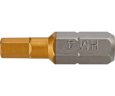 Atsuktuvo antgaliai GRAPHITE HEX4 25mm 1/4" (2 vnt.)