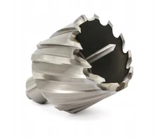 Grąžtas Glob TOOLS grąžtas skylėms pjauti HSS ilgis 30mm (GLOBTOOLS-WT20S)