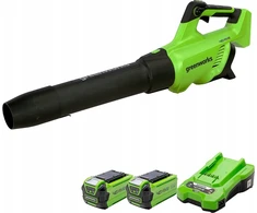 Akumuliatorinis lapų pūstuvas Greenworks GD40ABIIK2X; 40 V; 2x2,0 Ah akum.