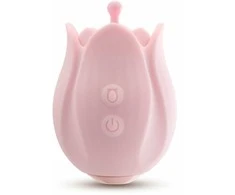 Blush ŽAISK SU MANIMI ROMANTIŠKA ROŽINĖ