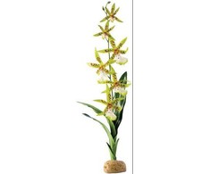 Exo Terra Hagen Exoterra Orchid Plant 42cm