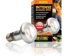 EXOTERRA - Intensyvi šviesa kaitinimuisi 50W S20 E27 oranžinė - (220.2450)